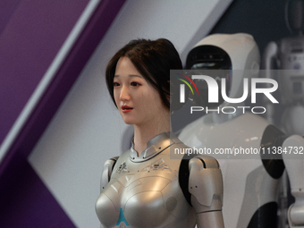 18 Humanoid Robot Vanguard Matrix are being displayed at the entrance of WAIC, World Artificial Intelligence Conference at Shanghai World Ex...