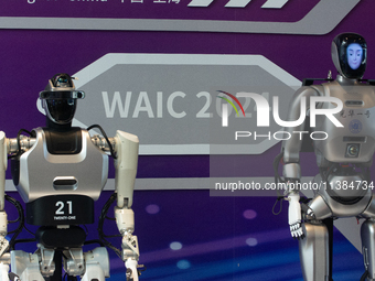 18 Humanoid Robot Vanguard Matrix are being displayed at the entrance of WAIC, World Artificial Intelligence Conference at Shanghai World Ex...