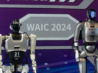 18 Humanoid Robot Vanguard Matrix are being displayed at the entrance of WAIC, World Artificial Intelligence Conference at Shanghai World Ex...