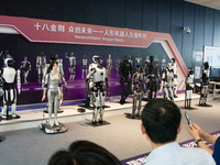 18 Humanoid Robot Vanguard Matrix are being displayed at the entrance of WAIC, World Artificial Intelligence Conference at Shanghai World Ex...