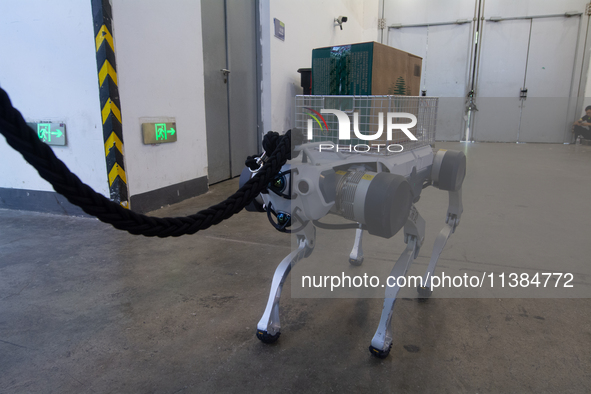 The robot dog is carrying a pack of water at the World Artificial Intelligence Conference at the Shanghai World Expo Exhibition Center in Sh...