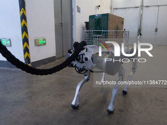 The robot dog is carrying a pack of water at the World Artificial Intelligence Conference at the Shanghai World Expo Exhibition Center in Sh...