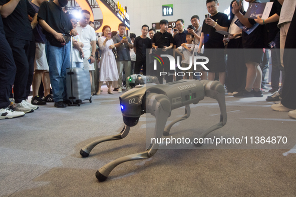 A robot dog is performing how to interact with visitors at the World Artificial Intelligence Conference at the Shanghai World Expo Exhibitio...