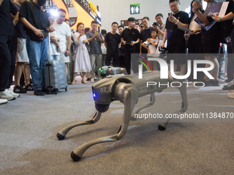 A robot dog is performing how to interact with visitors at the World Artificial Intelligence Conference at the Shanghai World Expo Exhibitio...