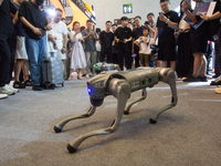 A robot dog is performing how to interact with visitors at the World Artificial Intelligence Conference at the Shanghai World Expo Exhibitio...