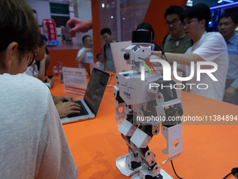 Visitors are visiting the Rock AI stand at the World Artificial Intelligence Conference at the Shanghai World Expo Exhibition Center in Shan...