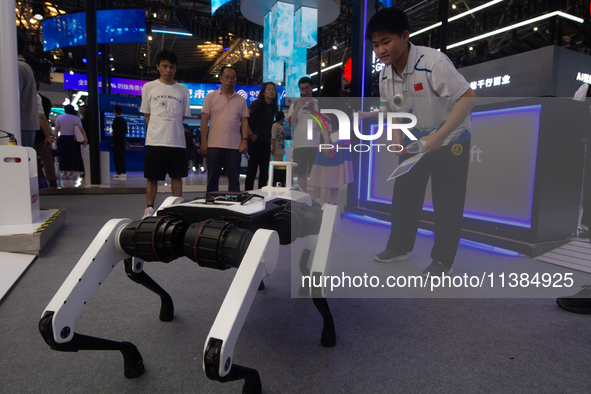 A young visitor is interacting with a robot dog at the World Artificial Intelligence Conference at the Shanghai World Expo Exhibition Center...