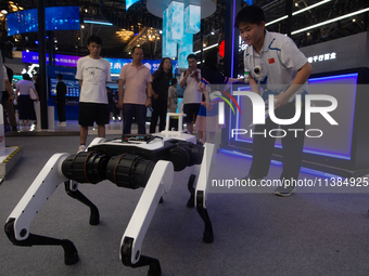 A young visitor is interacting with a robot dog at the World Artificial Intelligence Conference at the Shanghai World Expo Exhibition Center...