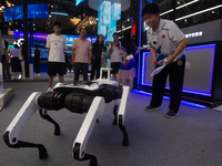 A young visitor is interacting with a robot dog at the World Artificial Intelligence Conference at the Shanghai World Expo Exhibition Center...