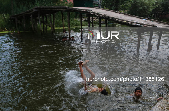 Kashmiri boys are taking a bath in the waters of Dal Lake to cool off on a hot summer day in Srinagar, Jammu And Kashmir, on July 05, 2024. 