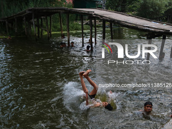 Kashmiri boys are taking a bath in the waters of Dal Lake to cool off on a hot summer day in Srinagar, Jammu And Kashmir, on July 05, 2024....