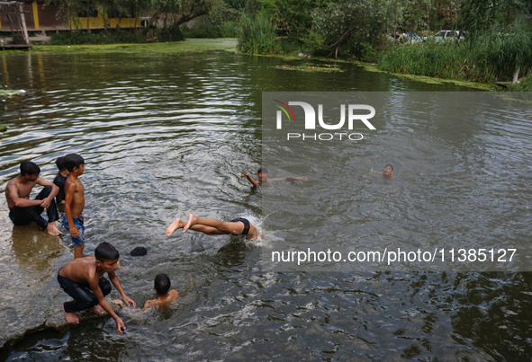 Kashmiri boys are taking a bath in the waters of Dal Lake to cool off on a hot summer day in Srinagar, Jammu And Kashmir, on July 05, 2024. 