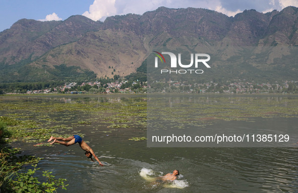 A boy is taking a dip into the waters of Dal Lake to cool off on a hot summer day in Srinagar, Jammu And Kashmir, on July 05, 2024. 