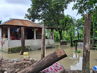 Houses are being seen as the Teesta River water enters Laltong forest village due to heavy and continuous rainfall in the area. The village...