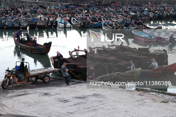 Fishermen are transferring abalone cages from their fishing boat to shore at Songluwan Pier in Fuzhou, Fujian province, China, on July 5, 20...