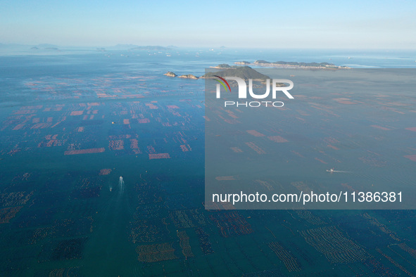 Fishermen are driving their fishing boats through the sea pasture in the waters of Songlu Bay in Fuzhou, Fujian province, China, on July 5,...