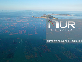 Fishermen are driving their fishing boats through the sea pasture in the waters of Songlu Bay in Fuzhou, Fujian province, China, on July 5,...