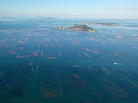 Fishermen are driving their fishing boats through the sea pasture in the waters of Songlu Bay in Fuzhou, Fujian province, China, on July 5,...