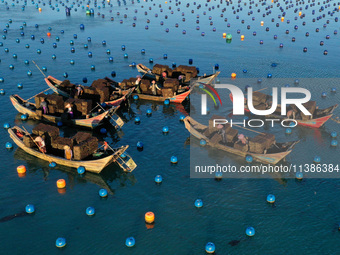 Fishermen are collecting abalone in a culture area at Songlu Bay in Fuzhou, Fujian province, China, on July 5, 2024. (