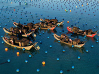 Fishermen are collecting abalone in a culture area at Songlu Bay in Fuzhou, Fujian province, China, on July 5, 2024. (