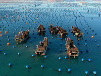 Fishermen are collecting abalone in a culture area at Songlu Bay in Fuzhou, Fujian province, China, on July 5, 2024. (