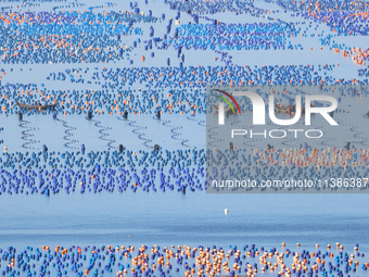 Fishermen are collecting abalone in a culture area at Songlu Bay in Fuzhou, Fujian province, China, on July 5, 2024. (