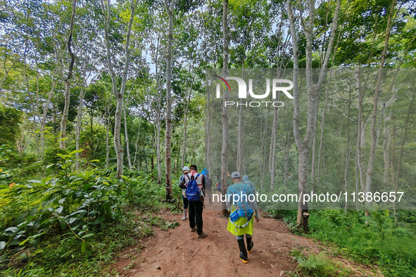 Tourists from Shanghai are walking through the rain forest with their children in the Jinuo Mountain rain forest in Xishuangbanna city, Yunn...