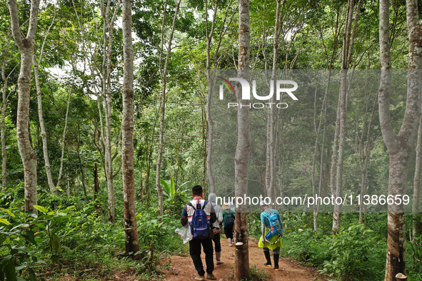 Tourists from Shanghai are walking through the rain forest with their children in the Jinuo Mountain rain forest in Xishuangbanna city, Yunn...