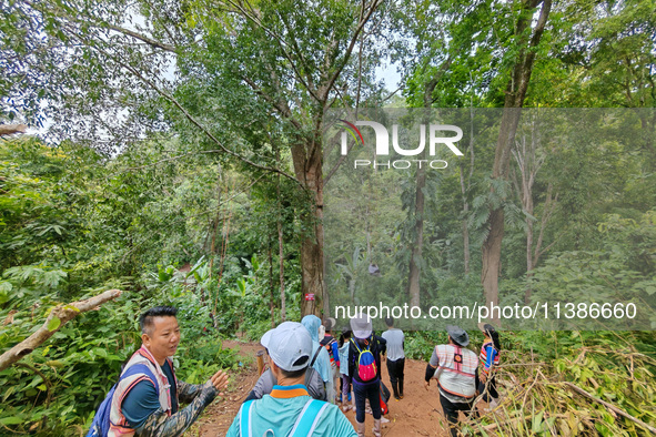 Tourists from Shanghai are walking through the rain forest with their children in the Jinuo Mountain rain forest in Xishuangbanna city, Yunn...