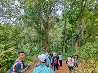 Tourists from Shanghai are walking through the rain forest with their children in the Jinuo Mountain rain forest in Xishuangbanna city, Yunn...