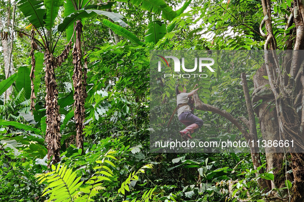 Tourists from Shanghai are walking through the rain forest with their children in the Jinuo Mountain rain forest in Xishuangbanna city, Yunn...