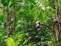 Tourists from Shanghai are walking through the rain forest with their children in the Jinuo Mountain rain forest in Xishuangbanna city, Yunn...