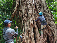 Tourists from Shanghai are walking through the rain forest with their children in the Jinuo Mountain rain forest in Xishuangbanna city, Yunn...