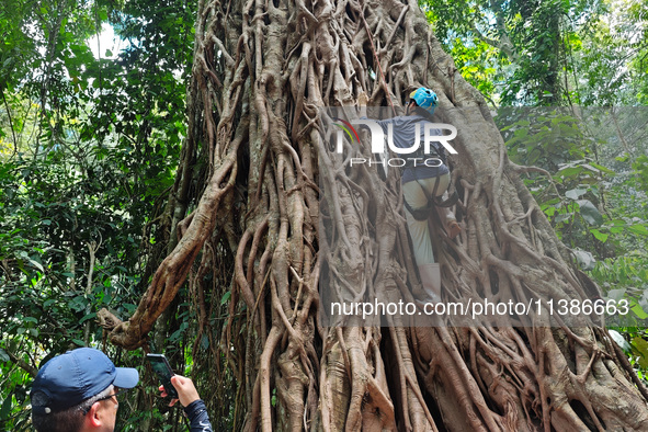 Tourists from Shanghai are walking through the rain forest with their children in the Jinuo Mountain rain forest in Xishuangbanna city, Yunn...