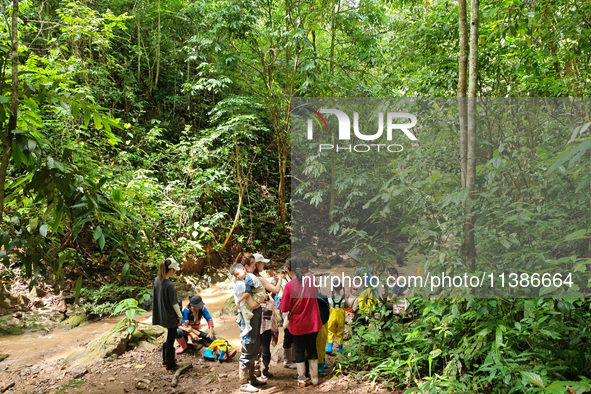 Tourists from Shanghai are walking through the rain forest with their children in the Jinuo Mountain rain forest in Xishuangbanna city, Yunn...