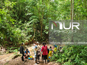 Tourists from Shanghai are walking through the rain forest with their children in the Jinuo Mountain rain forest in Xishuangbanna city, Yunn...