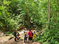 Tourists from Shanghai are walking through the rain forest with their children in the Jinuo Mountain rain forest in Xishuangbanna city, Yunn...