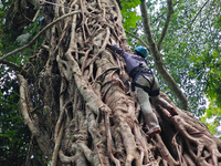 Tourists from Shanghai are walking through the rain forest with their children in the Jinuo Mountain rain forest in Xishuangbanna city, Yunn...