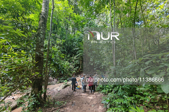 Tourists from Shanghai are walking through the rain forest with their children in the Jinuo Mountain rain forest in Xishuangbanna city, Yunn...