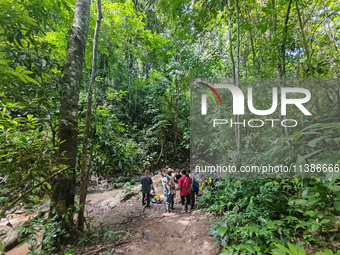 Tourists from Shanghai are walking through the rain forest with their children in the Jinuo Mountain rain forest in Xishuangbanna city, Yunn...