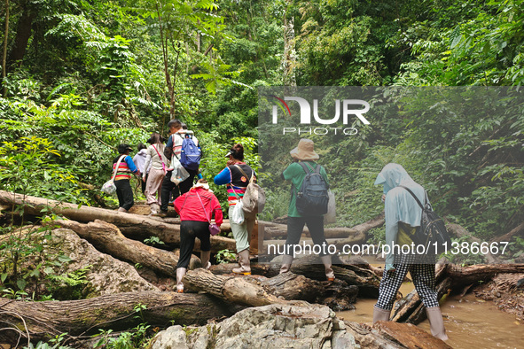 Tourists from Shanghai are walking through the rain forest with their children in the Jinuo Mountain rain forest in Xishuangbanna city, Yunn...