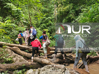 Tourists from Shanghai are walking through the rain forest with their children in the Jinuo Mountain rain forest in Xishuangbanna city, Yunn...