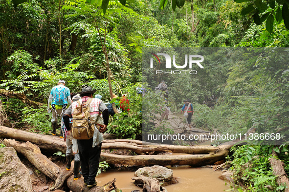 Tourists from Shanghai are walking through the rain forest with their children in the Jinuo Mountain rain forest in Xishuangbanna city, Yunn...