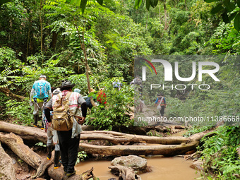 Tourists from Shanghai are walking through the rain forest with their children in the Jinuo Mountain rain forest in Xishuangbanna city, Yunn...