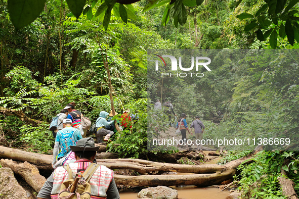 Tourists from Shanghai are walking through the rain forest with their children in the Jinuo Mountain rain forest in Xishuangbanna city, Yunn...