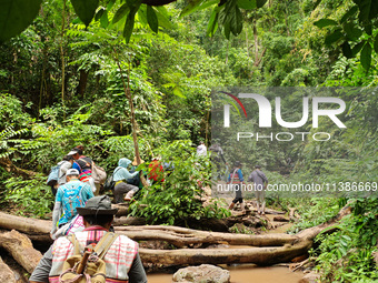 Tourists from Shanghai are walking through the rain forest with their children in the Jinuo Mountain rain forest in Xishuangbanna city, Yunn...