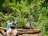 Tourists from Shanghai are walking through the rain forest with their children in the Jinuo Mountain rain forest in Xishuangbanna city, Yunn...