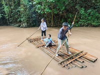 Tourists from Shanghai are walking through the rain forest with their children in the Jinuo Mountain rain forest in Xishuangbanna city, Yunn...