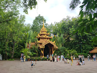 Tourists are enjoying the scenery in the Manting Imperial Garden in Xishuangbanna, China, on July 3, 2024. (