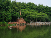 Tourists are enjoying the scenery in the Manting Imperial Garden in Xishuangbanna, China, on July 3, 2024. (